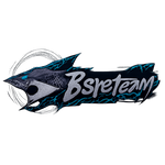 Bsreteam